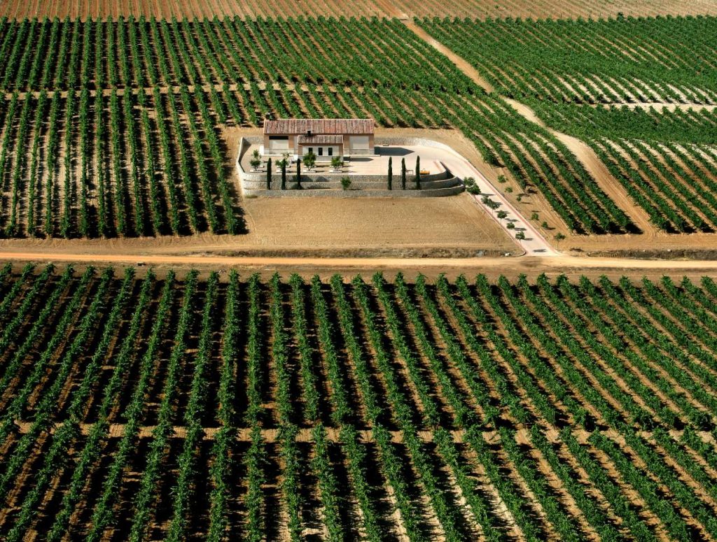 Bodega Frontaura Toro