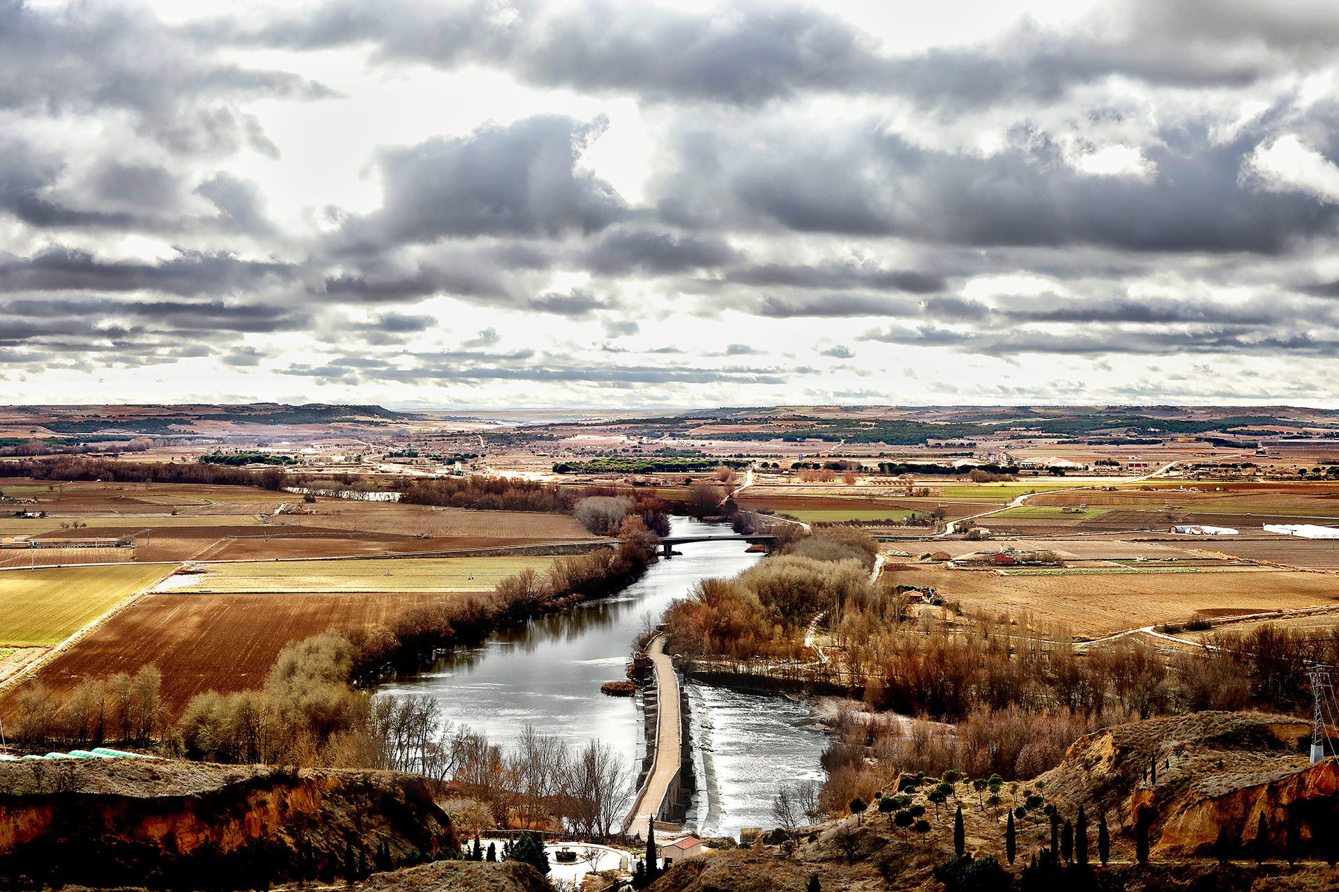 bodegas-nexus-frontaura-vinos-de-calidad